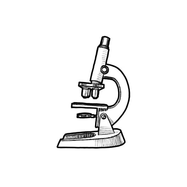 Microscope illustration